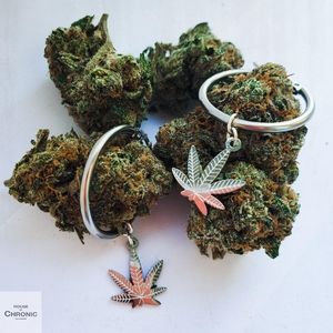 Bella Babe" Silver Cannabis weed leaf hoop earring